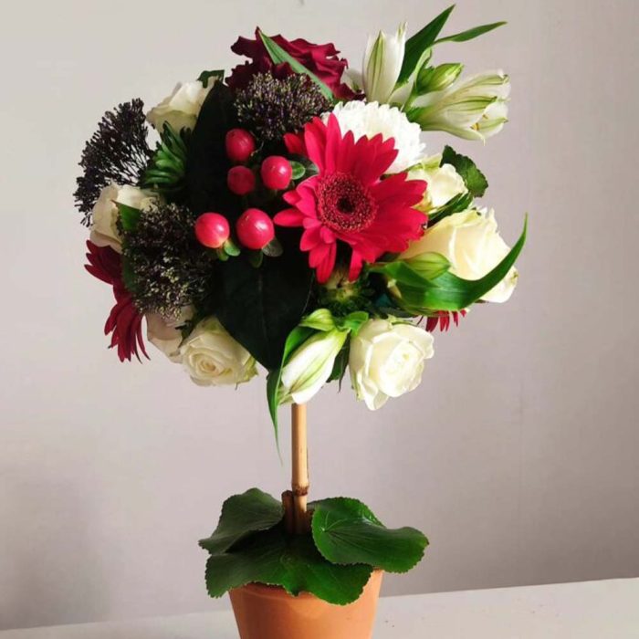 Composition hauteur tons rouge