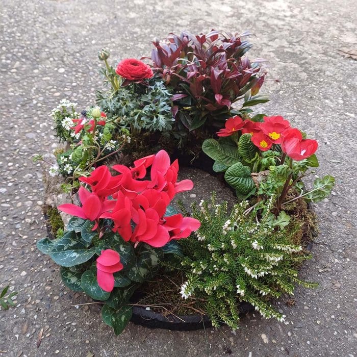 Couronne de plantes – Image 2