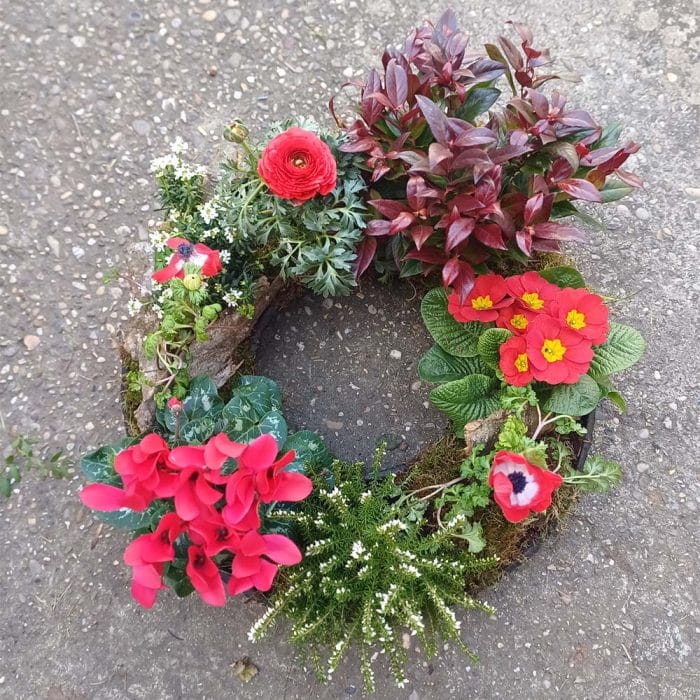 Couronne de plantes