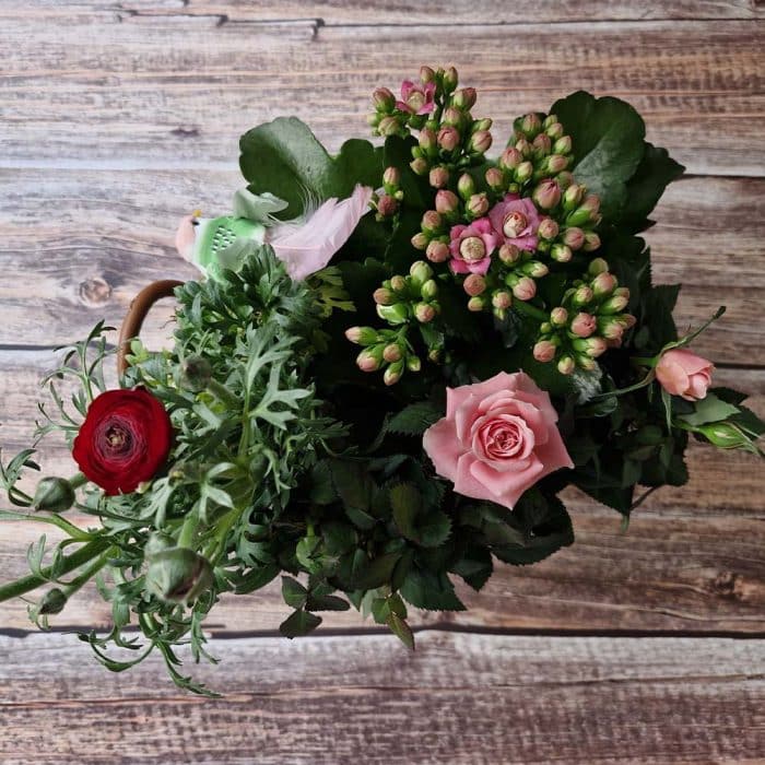 Coupe de plantes pour l'extérieur – Image 4