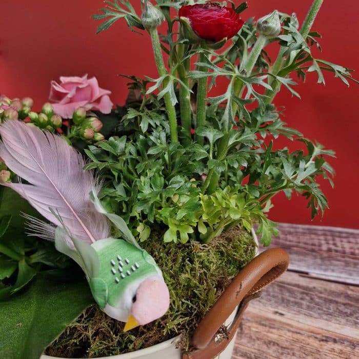Coupe de plantes pour l'extérieur – Image 3