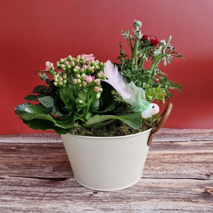 Coupe de plantes pour l'extérieur