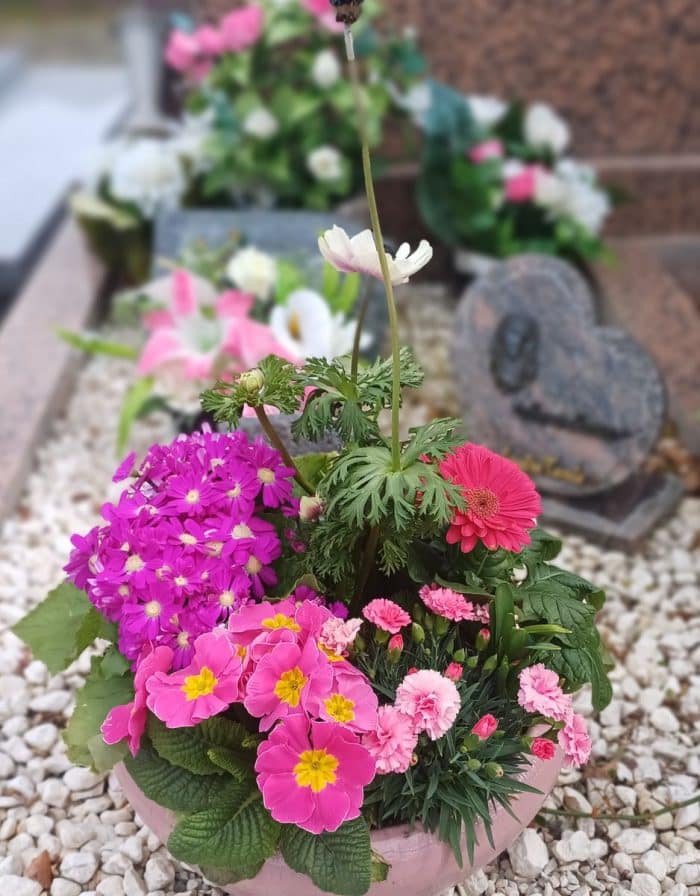 Coupe de plantes – Image 8