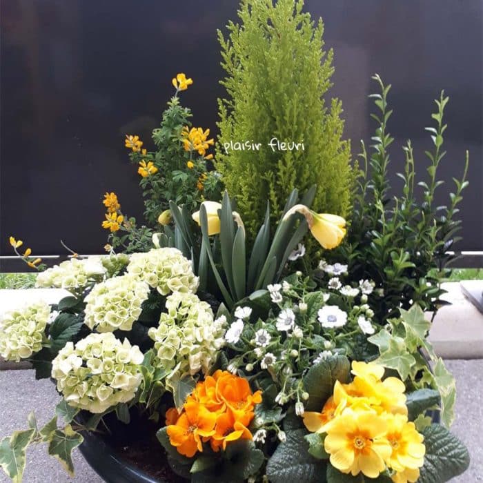 Coupe de plantes