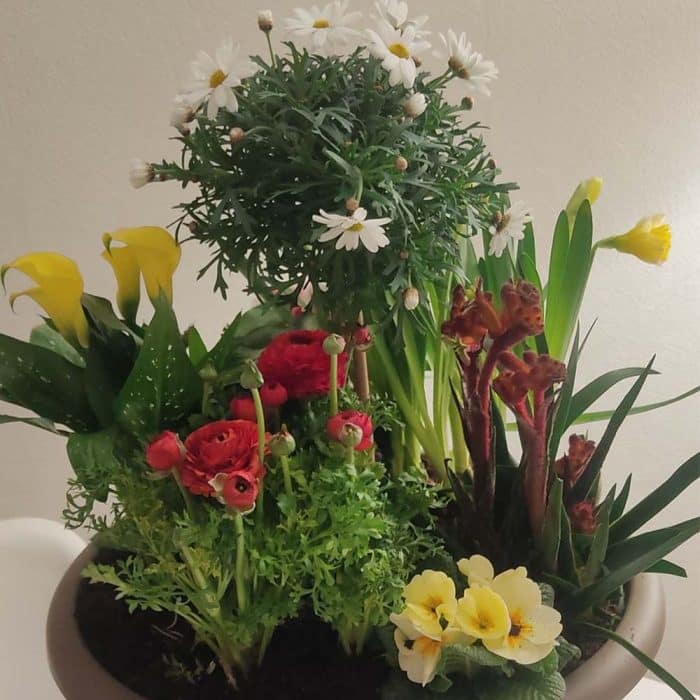 Coupe de plantes – Image 5