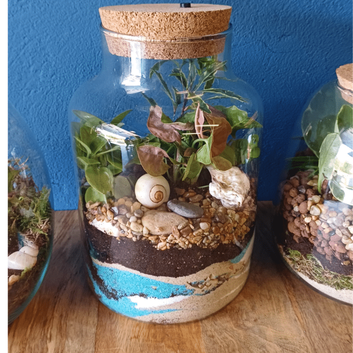 Un terrarium, une bulle de nature